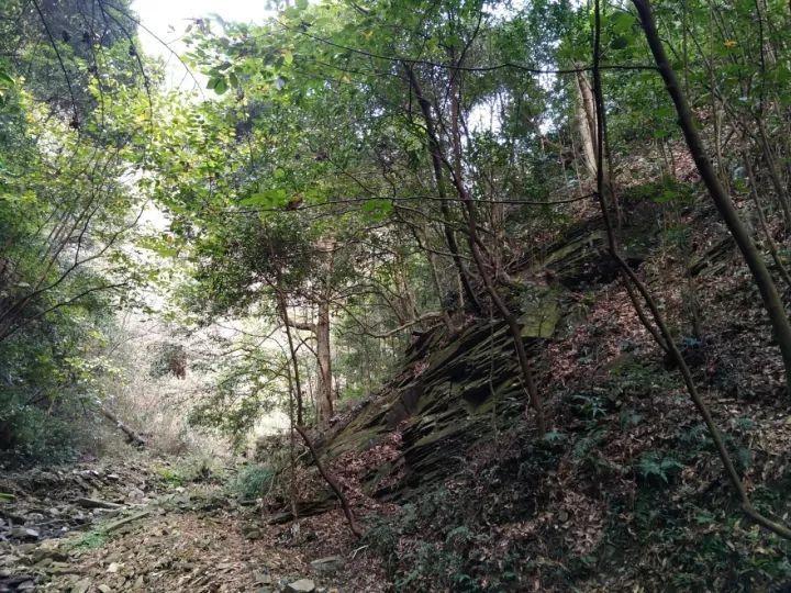 稀土上市公司陆续预告去年成绩单,北方稀土:净利润同比降超六成