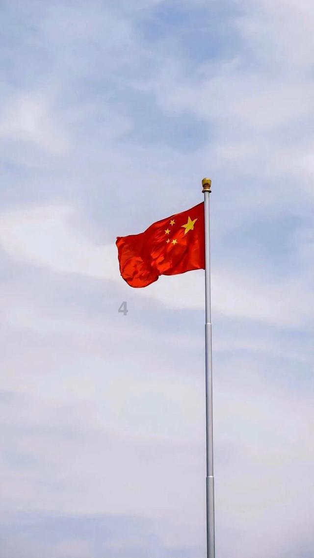 少年泰坦大出击