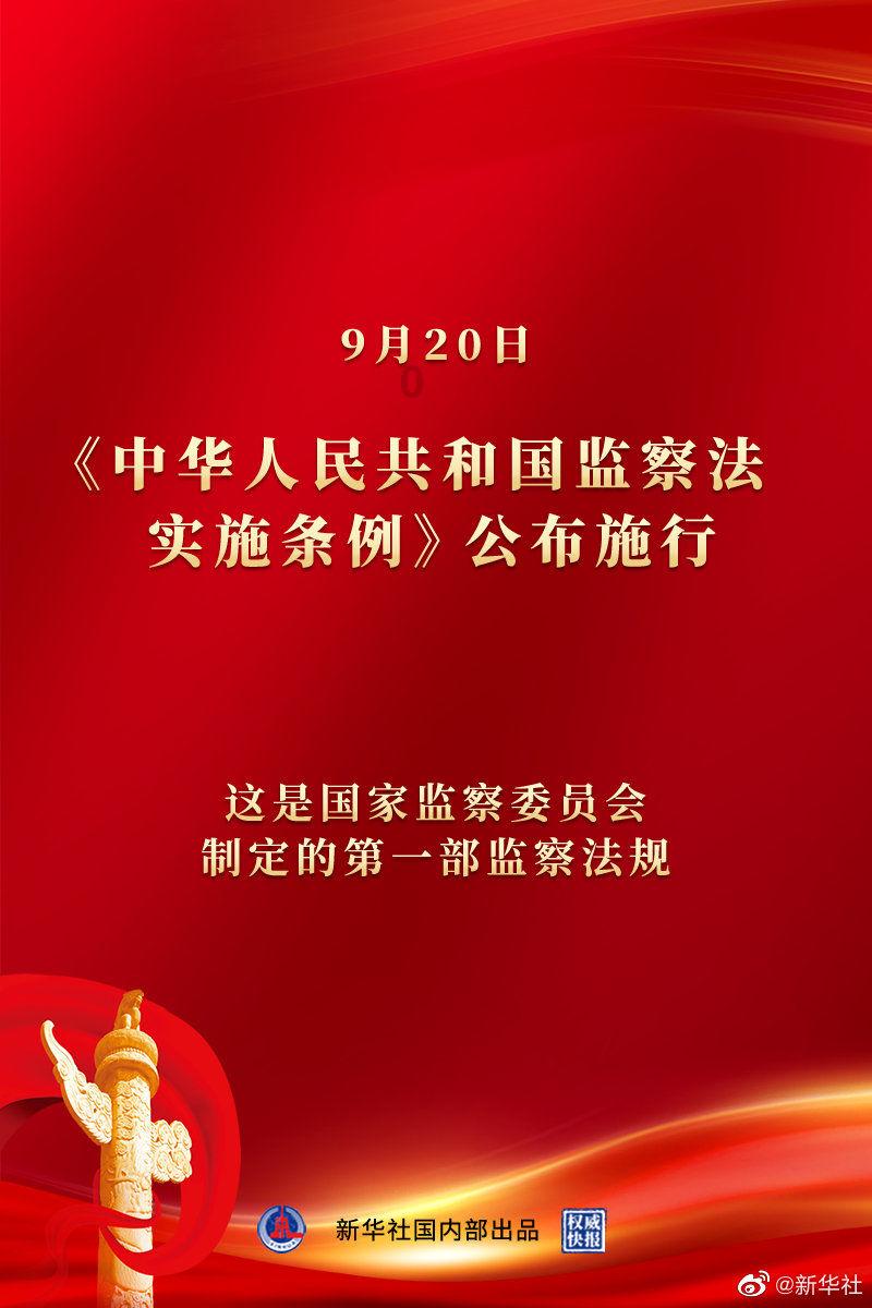 穿越遗弃的森林